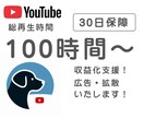 収益化へ！あなたの動画の再生時間を増やします 100時間ご支援＋安心の保証付き！ イメージ1