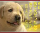 実は養子だったとショックな気持ちを受け止めます 14歳という多感の時期に養子である事を知り強いショックを受け イメージ1