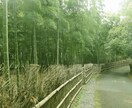 風景、観光地、メニューなどを撮影しいます 撮影場所に行った気持ちになろう イメージ6