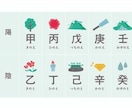 生年月日であなたのタイプ（木火土金水）を診断します 【15分チャット】MBTIのような自己分析をもっと手軽に！ イメージ1