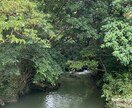 沖縄の写真、動画撮影いたします 沖縄在住の地元人が沖縄の景色を活かして穴場も撮影します イメージ4