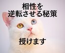 二人の相性を最高潮に導くあなた専用の秘策を占います 片思い｜結婚相手｜相性が奇跡的に上げる方法を読み解く イメージ1