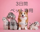 ペットへ遠隔ヒーリングをお届けします 療養中のペットに癒しを提供致します イメージ1