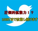 拡散力抜群なアカウントで100RTまで拡散します 圧倒的拡散で集客！　最低50万人に拡散！ イメージ1