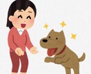 ペット(犬、猫)について相談受付ます しつけ、飼い方、など全般でお困り、お悩みのあるかた♪ イメージ1