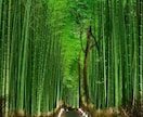 どんな悩みに対しても最善の未来へ進む答えを授けます 【原因は一つではない】全ての流れを解明し好転の道を示します イメージ9