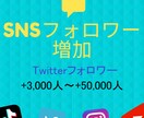 Twitterのフォロワー3000人以上増やします 【保証有・減少率低】希望のアカウントのフォロワー増やします イメージ1