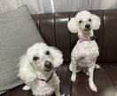 タロットリーディングします この先どうなる？相手の気持ちは？改善アドバイスを届けます。 イメージ3