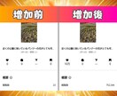 インスタのリール再生数を75万回増やします Instagramリール再生数▶▶いいね付き！⭐格安再生数⭐ イメージ2
