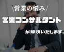 営業コンサルがあなたの営業の悩みを聞きます ビデオチャットでは5日間連続でご相談を受けた経験あり イメージ1