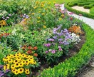 花壇づくりのアドバイスをします 花が大好きな方へご近所さんが羨む花壇を イメージ1