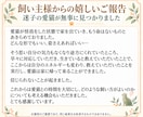 迷子の愛犬・愛猫を霊視します 現在の状況や居場所の手がかりを読み解きます イメージ2