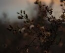 本気の人だけ✨4つのクレアで2人の復縁を霊視します 2人の未来や彼の気持ち｜時期・可能性｜縁を結ぶ方法を伝えます イメージ2