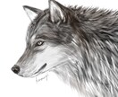 可愛い動物のイラスト描きます 動物のデフォルメやロゴデザインまでお任せください イメージ2