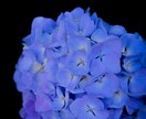 あなたの希望する写真を撮ります 実際にその場にいるような写真を撮ります！ イメージ6