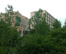 中国留学について相談のります 社会人でも留学を考えている人でも大丈夫(^^♪ イメージ2