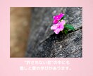 婚外恋愛鑑定♥相手の本心♥将来♥恋の行方を視ます ♥魂が惹かれ合う本気の恋♥相手の言動の意味・他に相手がいる？ イメージ8