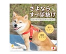バナー・WEB画像・SNS画像デザインします クリック率をあげる画像制作致します☺︎ イメージ5