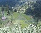 夢占い、貴方の見た夢を占います 夢は何かを貴方に問いかけている。その夢の意味、占いませんか? イメージ1