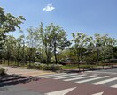 韓国留学を考えている方のお手伝いをします 気になること一緒に解決しましょう イメージ1