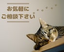 旅館・ホテル★宿泊予約サイトのクチコミ返信します 元旅行会社出身のスタッフが宿の魅力が伝わる返信でサポート イメージ9