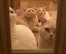 お悩みのご相談をお聞きします 悩んでいる、どうしよう、一緒に考えます。 イメージ1