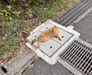 悩みが堂々巡りしてる方！本質を見極めてツッコミます 友達感覚、ゆるい雰囲気でお話しします イメージ2