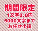 1文字0.8円おまかせ小説お受けします 2025年3月31日までの期間限定！全てお任せプランです！ イメージ1