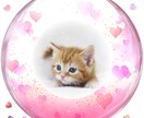 動物さん達のお言葉をお届けいたします 何を考えているの？そうだったんだ！少しだけ覗いてみませんか♡ イメージ1