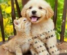 1時間ワンコイン相談、愚痴、不満、悩み聞きます 時間の許す限りトークルームにて沢山お話しましょう(^^) イメージ1