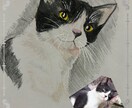 お家の猫ちゃんの似顔絵描きます 色鉛筆で丁寧に仕上げます！！お顔中心に描かせて戴きます。 イメージ4