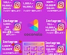 インスタの日本人フォロワーをお手頃価格で増やします インスタ日本人フォロワー100人～【最高品質✨お手頃価格❗】 イメージ6