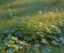 お相手の今、お気持ちを見ます お相手の方があなたをどのように思っているのかお知らせします イメージ1