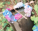 お子さんのお悩みうかがいます 小さなお子さんの言動や中高生の反抗期や生活についてお悩みの方 イメージ1