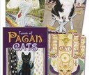 猫の神様タロットに聞きます 陽だまりみたいに優しく時には鋭く♡ 猫の神様からの伝言 イメージ5
