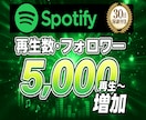 Spotifyの再生数・フォロワーを増やします 【30日保証付】アカウントを自然に伸ばす！！ イメージ1