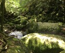 人財採用や転職・就職のヒントをお伝えします 全ての始まりは”Find yourself"から イメージ1