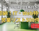 即納！IT特化の営業リスト500件を提供します フォームURL付！テレアポ・営業に即使える名簿 イメージ1
