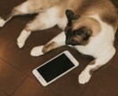 なぜか勝手に癒されて、また頑張れるコーチングします いつの間にか癒されるコーチング イメージ2