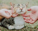 虹の橋を渡った大事な家族 心の声を届けます あの子が伝えたかった気持ち、あなたの想いを繋げます イメージ9