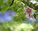 始めてデジタル一眼レフ始める方へお勧め致します これから始めてデジタル一眼レフカメラを使う方へ イメージ1