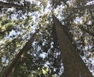 あなたの、ありのままで良いんだよ◎が見つけられます ビデオチャット対応◎ありのままの人生、子育て、人間関係。 イメージ1