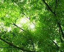 男子大学生が話を聞きます 寂しい時や話を聞いて欲しい時、悩み相談などなんでも大丈夫！ イメージ8