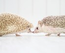 なんとなく話したい方。お話し聞きます ゆるゆる話したい方。楽しい時間を過ごしましょう♪ イメージ3