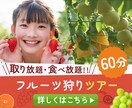 プロ品質のヘッダー・バナーで注目度を高めます クリックしたくなる！訴求力抜群のWEB画像制作！ イメージ3