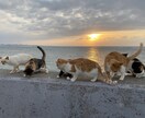 お話聞きます 現在、メンタル関係の資格を勉強中です！ イメージ1