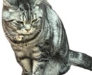 ペットを3Dプリントします 3Dプリンターでペットをプリントします イメージ5