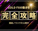 ゴールドで勝ち組トレーダーの仲間入りができます ゴールドFXを完全攻略する必殺技を完全公開します イメージ1