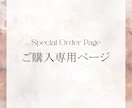 追加オプション専用ページ／お手続きお願いいたします こちらは追加料金（お急ぎ対応）専用のご購入ページとなります イメージ1