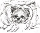 大切なペットの似顔絵描きます 大切なワンちゃん、ネコちゃんを線画でかわいく仕上げます！ イメージ2